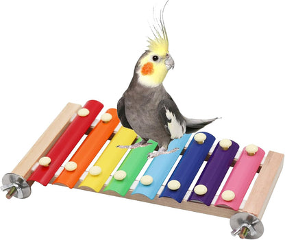 Dnoifne Colorful Xylophone, Funny Xylophone with 8 Metal Keys, Cage Toy Accessories for Parrot