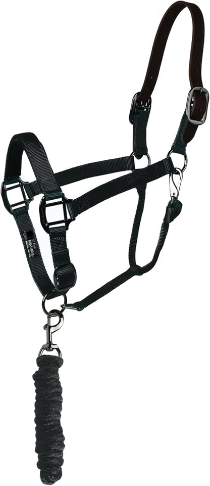 Majestic Ally Leather Halter with Matching Lead Rope for Horses – Leather Breakaway Crown