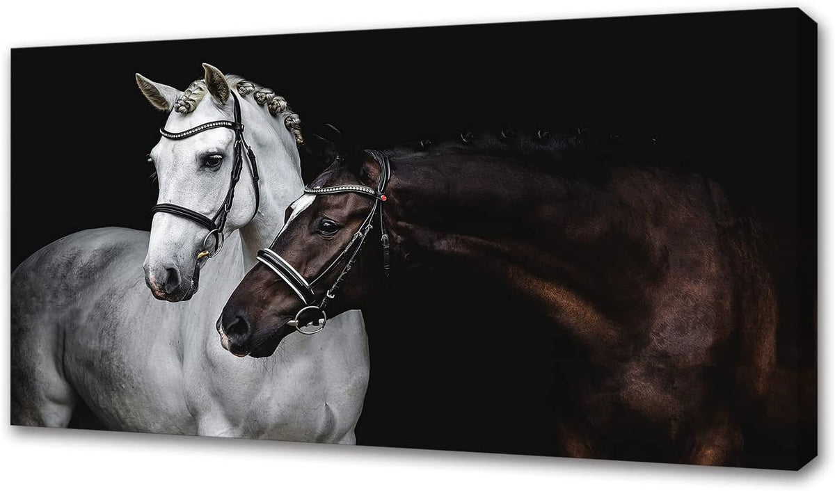 Jiuqinghua Wall Art Canvas Print Picture White and Brown Horses 1 Panel Wild Animal Painting