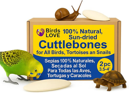 Birds LOVE Natural Cuttlebone | 100% Pure Sun-Dried Calcium Supplement for Birds, Tortoises, Snails