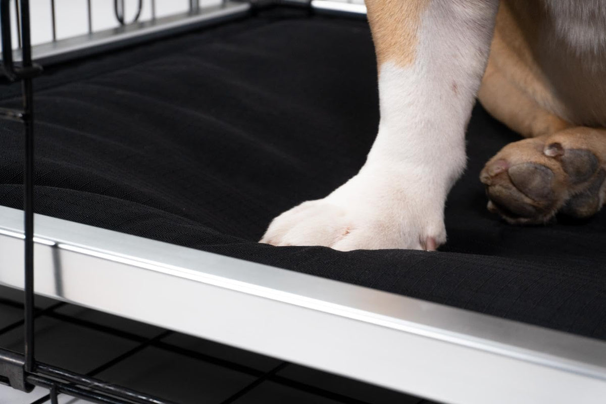 K9 Ballistics Chew Proof Armored Padded Dog Crate Bed, Virtually Indestructible, Legs Included