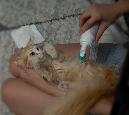 Hi Pet Dog Paw Cleaner Foam with Built-in Paw Scrubber Brush, Paw Cleaner for Dogs and Cats, Cat