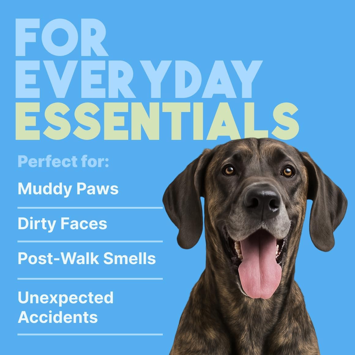 TropiClean Hypoallergenic Dog Wipes for Paws and Bottom | Fragrance Free Dog Grooming Wipes | Safe