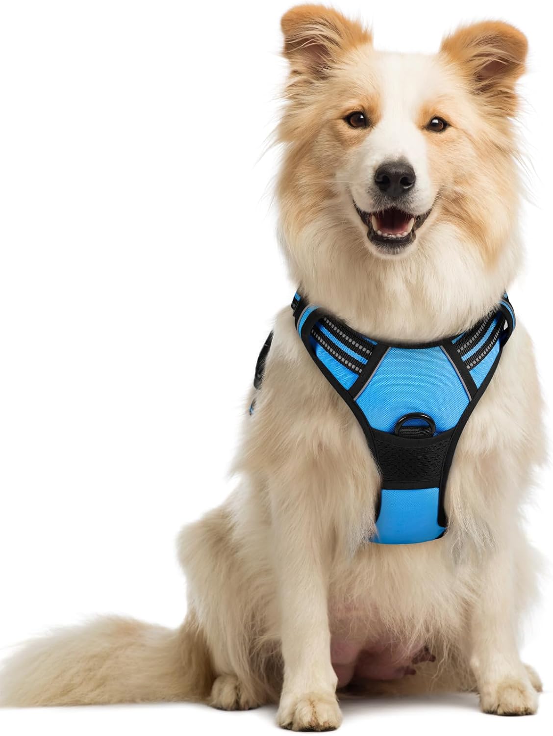 rabbitgoo Dog Harness No Pull with 2 Leash Clips, Adjustable Soft Padded, Reflective Oxford No