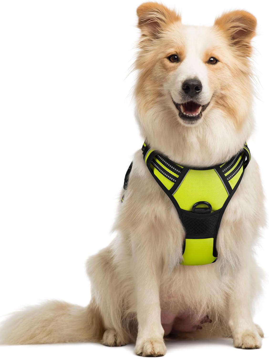 rabbitgoo Dog Harness No Pull with 2 Leash Clips, Adjustable Soft Padded, Reflective Oxford No