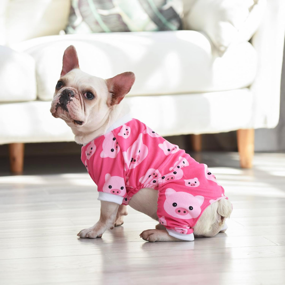 CuteBone Dog Halloween Pajamas Puppy Onesies Small Dogs Soft Pjs Coat Cat Apparel Comfy Pet