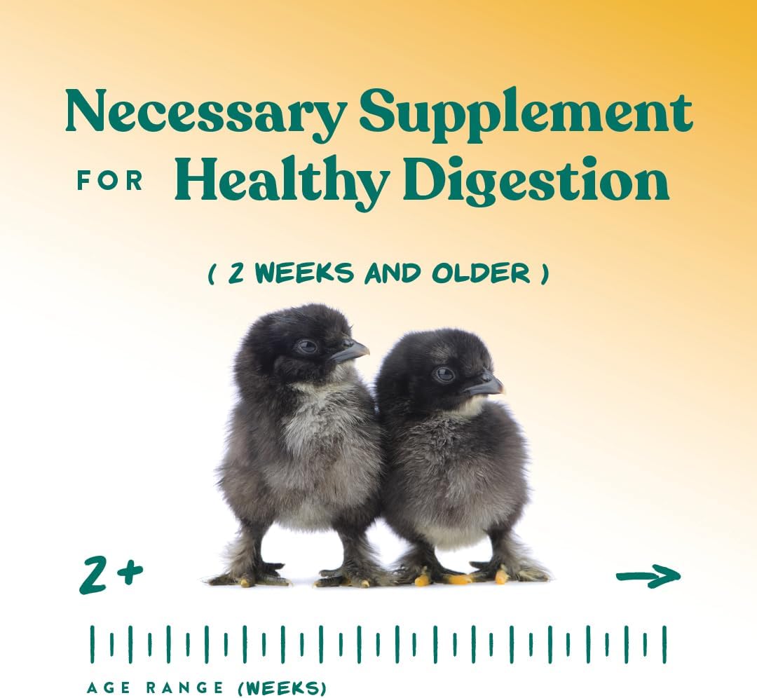 Manna Pro Chick Grit Digestive Supplement for Young Growing Poultry & Bantam Breeds, No Artificial
