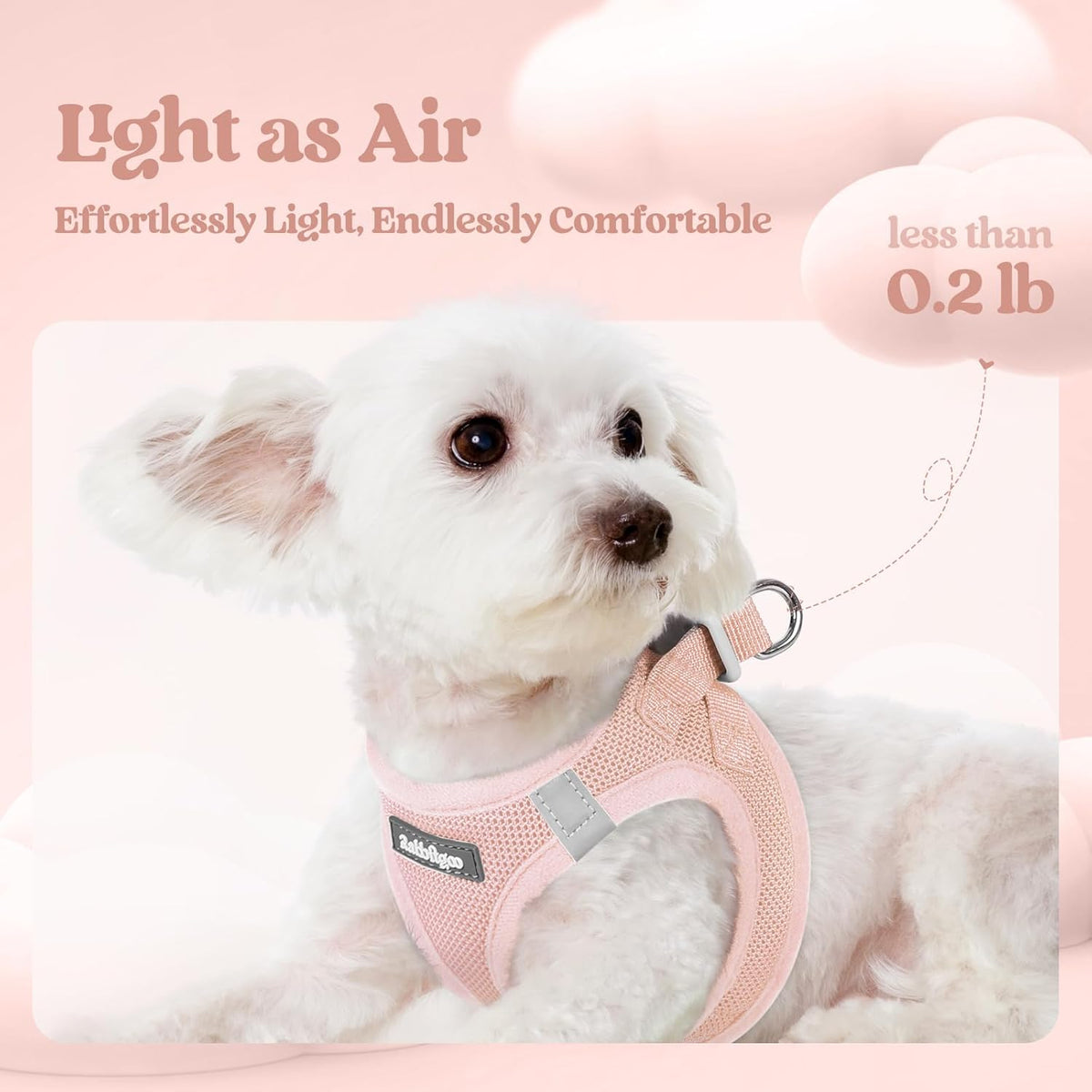 rabbitgoo Dog Harness Small Sized and Leash Set, Step in Soft Light Puppy Vest, Breathable Mesh Pet