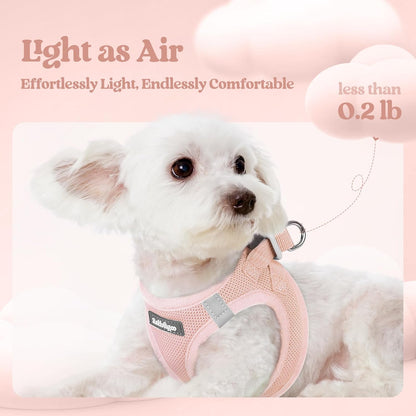 rabbitgoo Dog Harness Small Sized and Leash Set, Step in Soft Light Puppy Vest, Breathable Mesh Pet