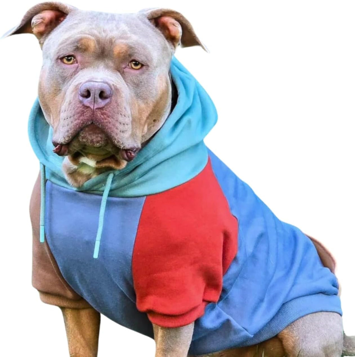 Spark Paws Dog Hoodie – Premium Dog Sweater for Small, Medium, and Large Dogs | Warm Outfits for