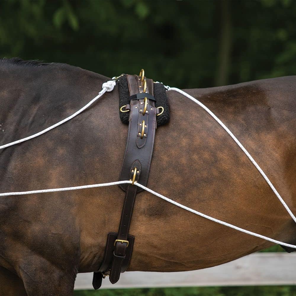 Advanced European Training System | Advanced Training Tool | Enhances Horse Carriage and Headset |