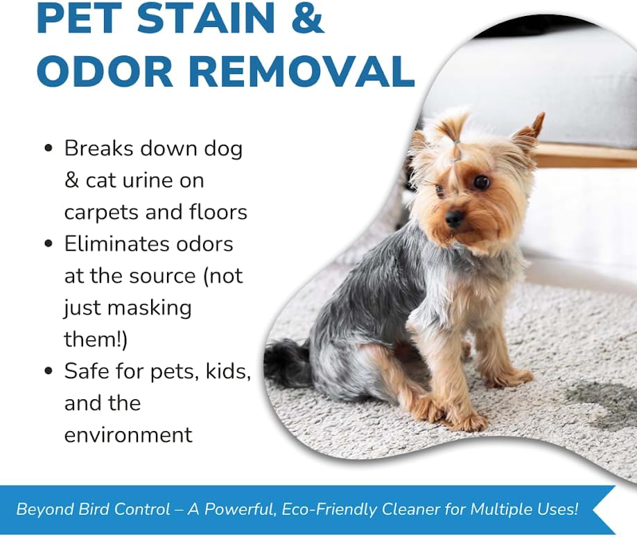 Bird Barrier Dissolve-It Max Enzyme Cleaner - Bird Dropping Cleaner - Dissolves Waste – Treat