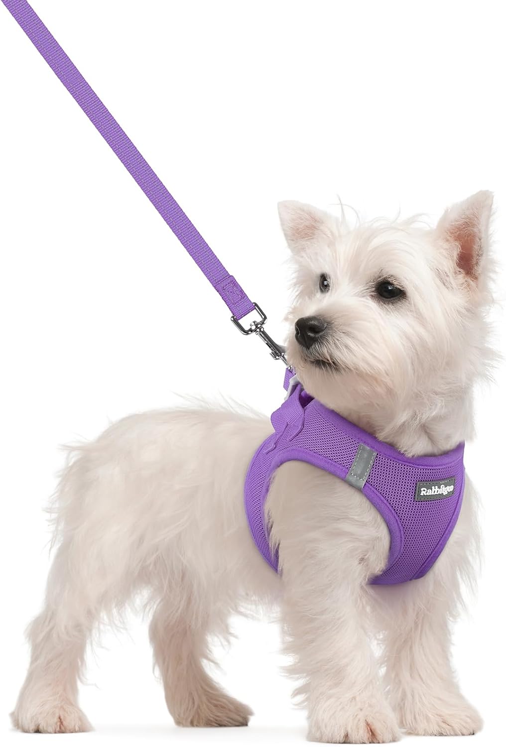 rabbitgoo Dog Harness Small Sized and Leash Set, Step in Soft Light Puppy Vest, Breathable Mesh Pet