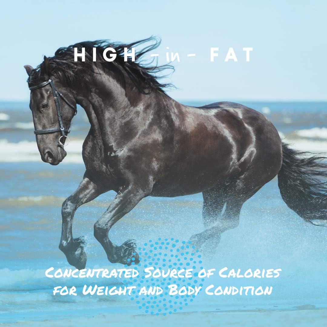 Manna Pro Cool Calories 100 – Equine Fat Supplement for Horses, Supports Healthy Weight Gain