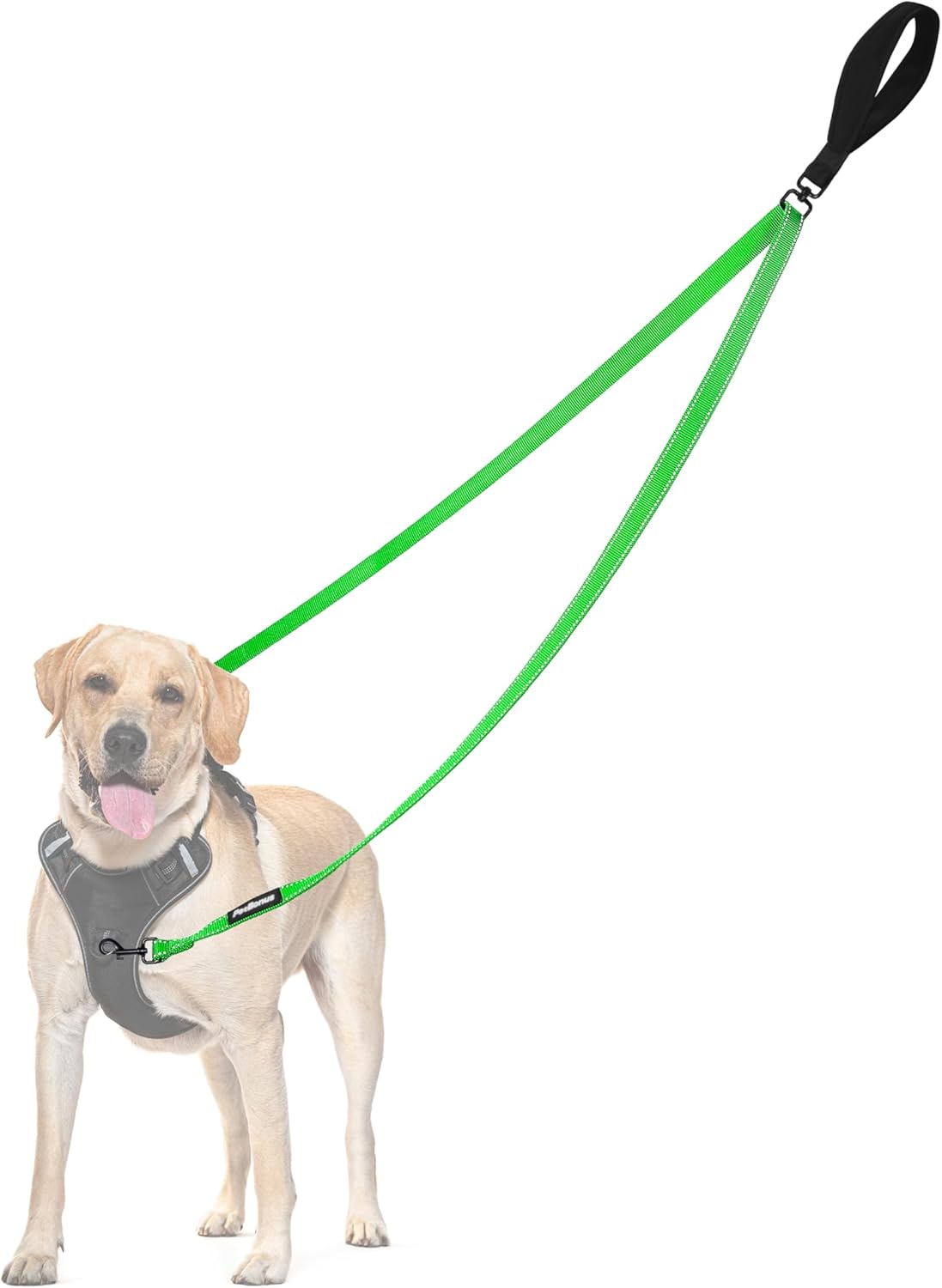 PetBonus Two Point Control Dog Leash, Works with No Pull Harnesses, No Tangle Training Leashes