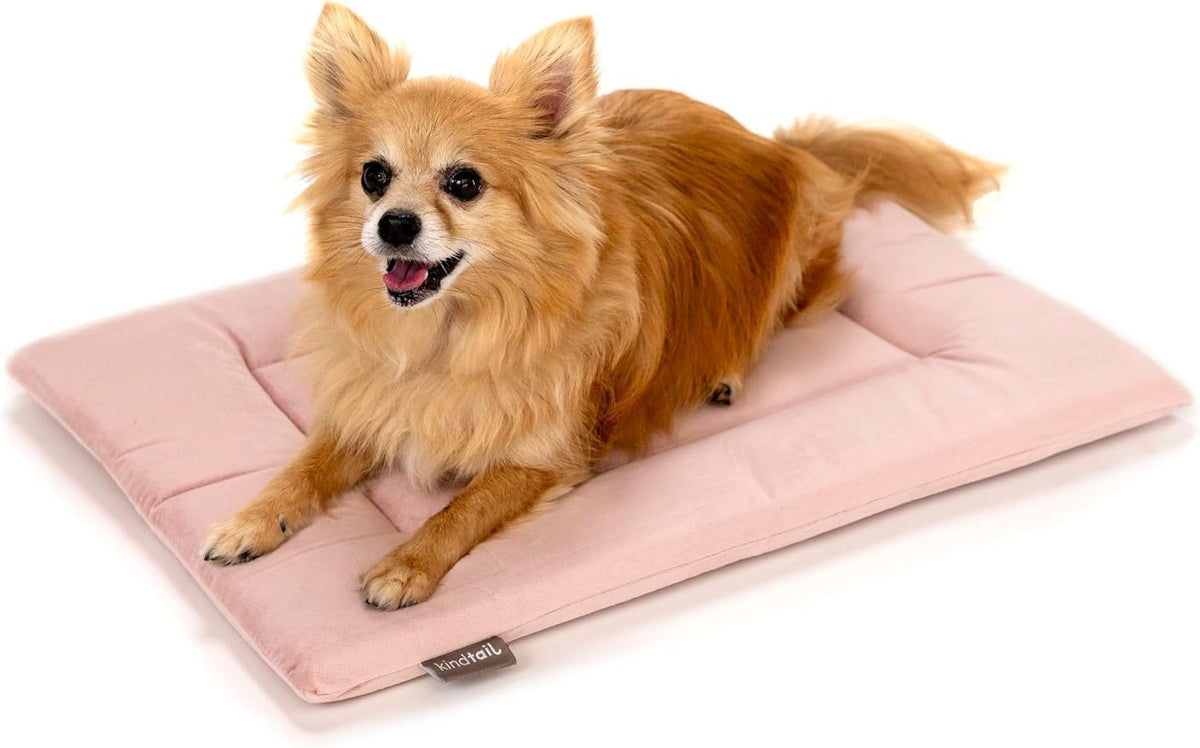 KindTail Dog Crate Pad - Soft Velvet, Reversible Bed - Machine Washable Kennel Mat for Pets up to
