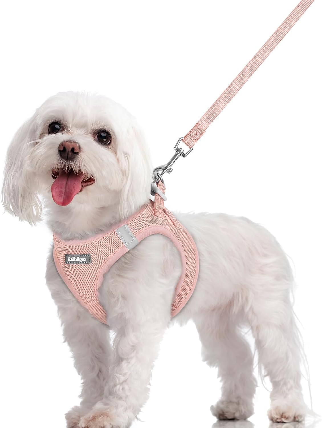 rabbitgoo Dog Harness Small Sized and Leash Set, Step in Soft Light Puppy Vest, Breathable Mesh Pet