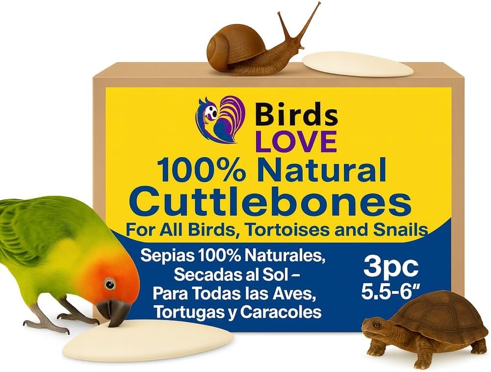 Birds LOVE Natural Cuttlebone | 100% Pure Sun-Dried Calcium Supplement for Birds, Tortoises, Snails
