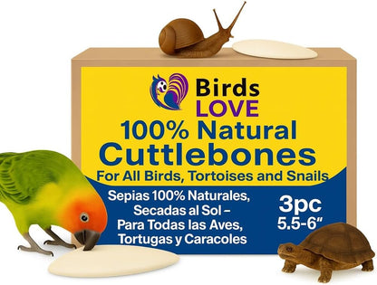 Birds LOVE Natural Cuttlebone | 100% Pure Sun-Dried Calcium Supplement for Birds, Tortoises, Snails
