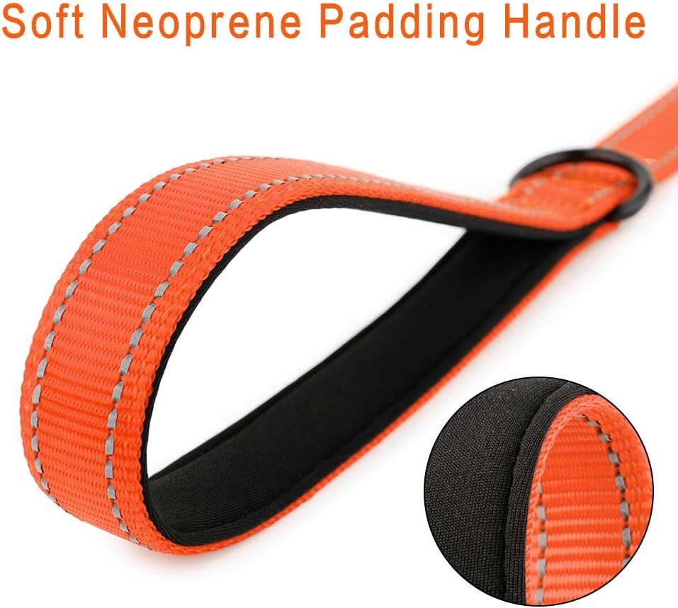 PLUTUS PET Short Training Dog Leash with Padded Handle for Medium Large Big Dogs,18 Inch Heavy Duty