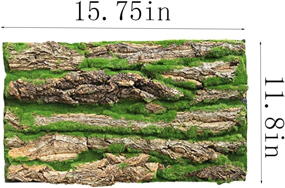 PINVNBY Cork Terrarium Background,Reptile Bark Backdrop Wall Decor and Artificial Moss for
