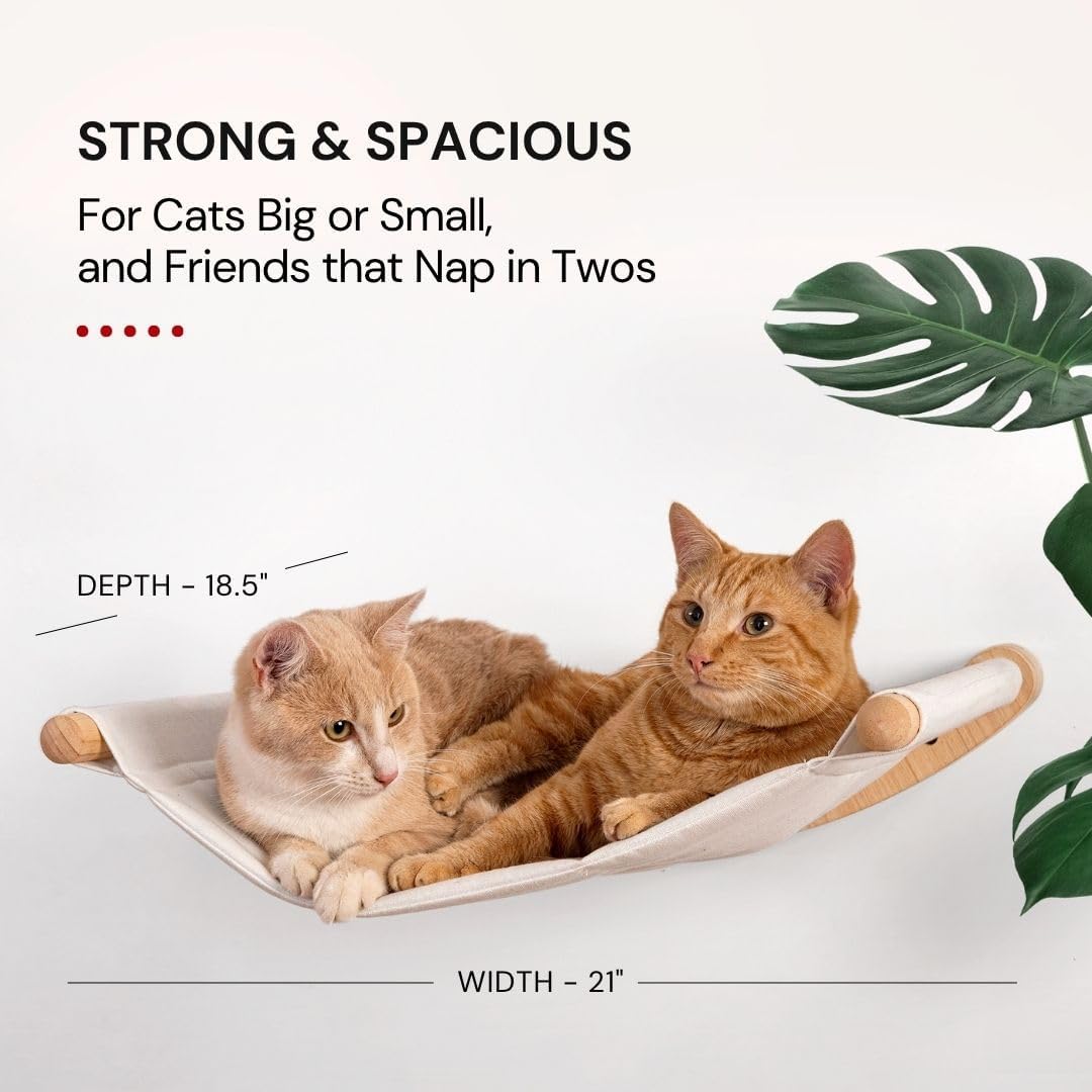 7 Ruby Road Cat Hammock Wall Mounted Shelf with Two Steps Set - Wall Shelves and Perches for
