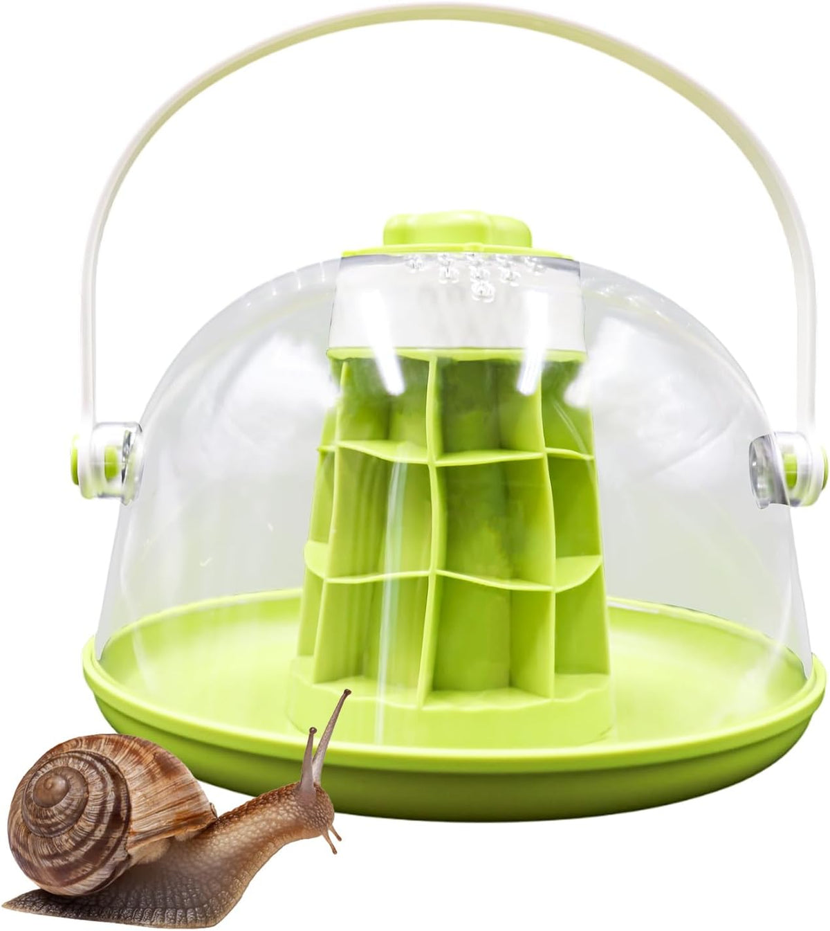 Round Transparent Snail Terrarium Kit, Portable Plastic Habitat with Air Vents & Removable Base