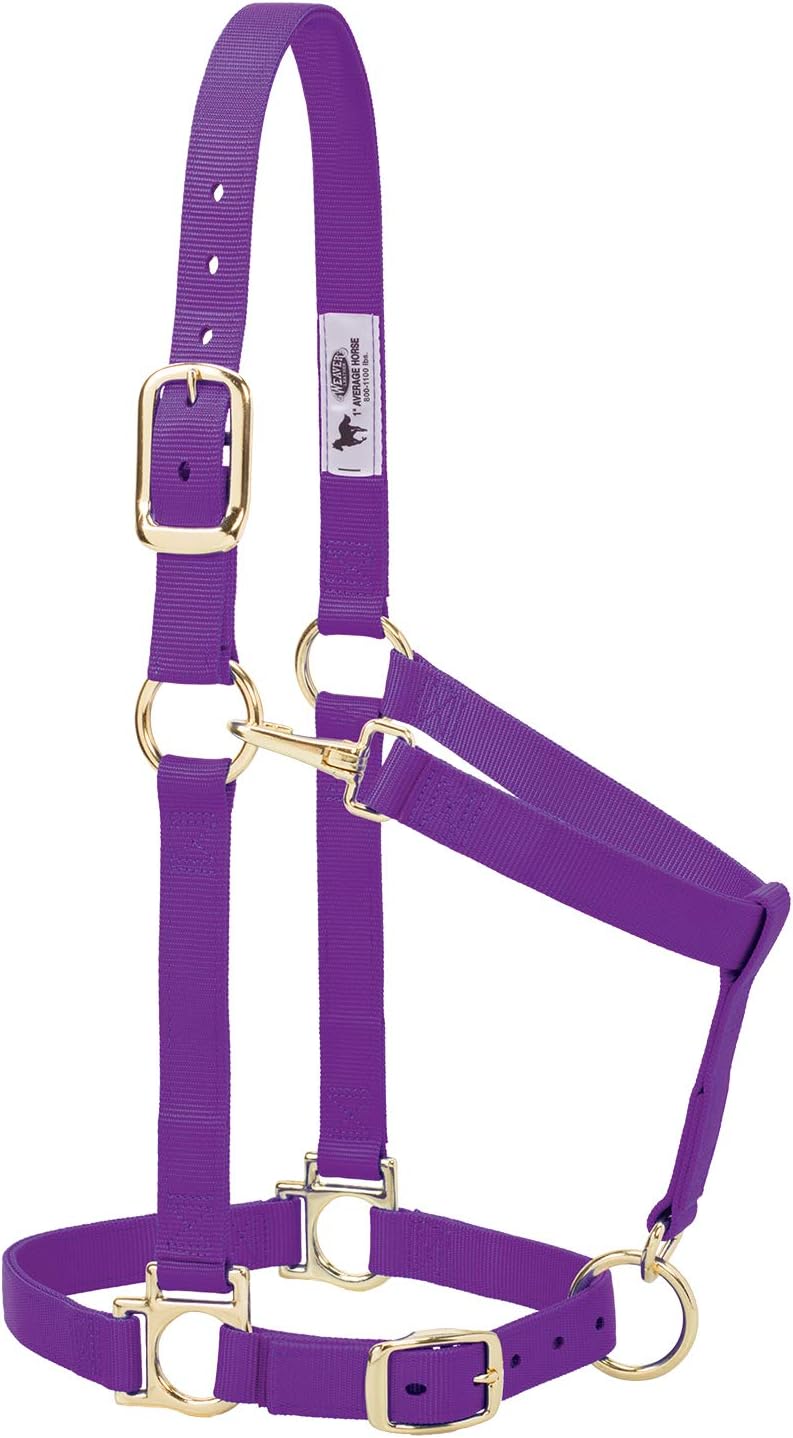 Weaver Leather Nylon Horse Halter, Padded and Adjustable, Chin and Throat Snap Hook Halters for