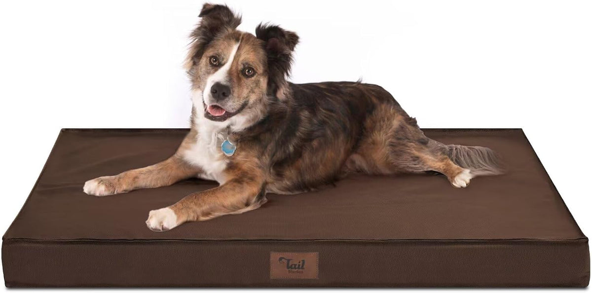 Outdoor Waterproof Dog Bed, Large Dog Bed for Large Size Dogs, Orthopedic Egg Foam Pet Bed with