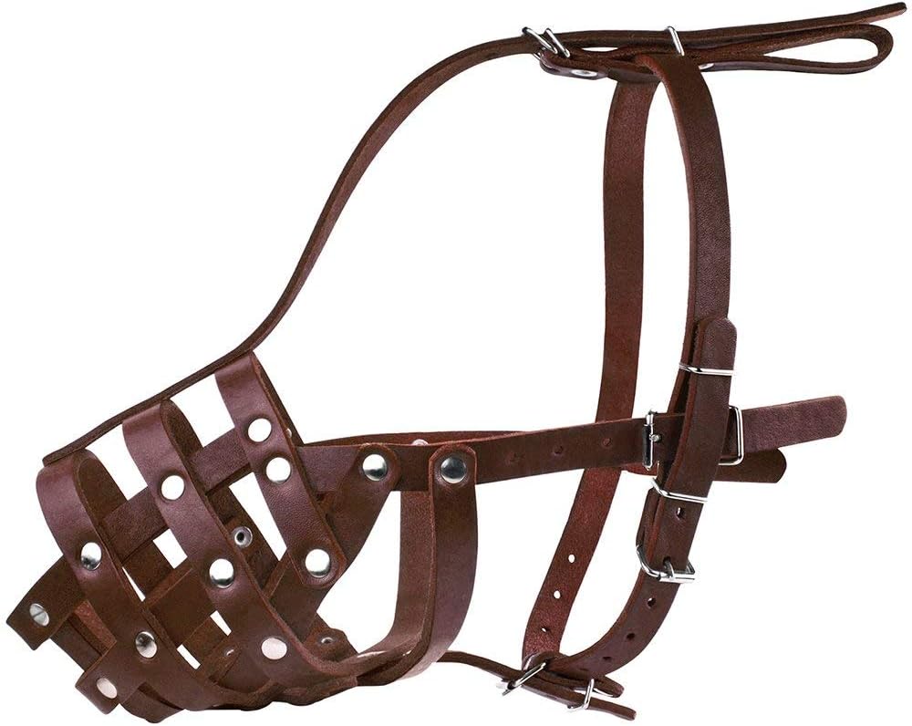 CollarDirect Dog Muzzle German Shepherd Dalmatian Doberman Setter Leather Basket Medium Large