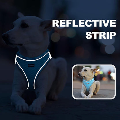 haapaw Dog Harness with Leash Set, No Pull Adjustable Reflective Step-in Puppy Harness with