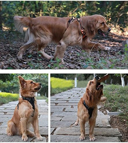 Truelove No Pull Dog Harness with Easy Control Handle and 2 Leash Attachments,Reflective Adjustable