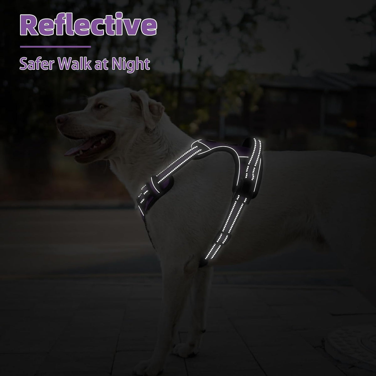 PUPTECK No Pull Dog Harness for Large, Adjustable Reflective Dog Harness with Handle Easy Control