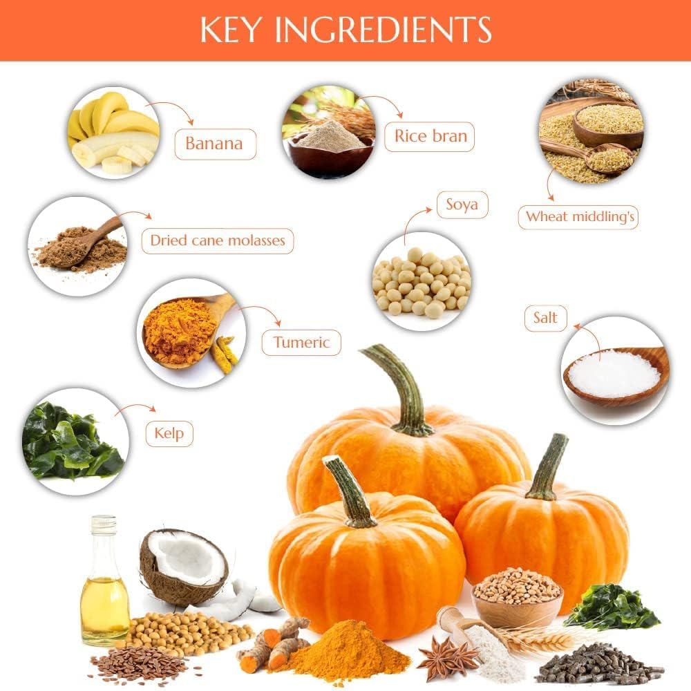 Horses Treats - Low Sugar, Starch, and Carbohydrates | Healthy Treats for Horse Supports Superior