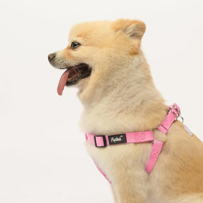 PUPTECK No Pull Dog Harness Soft Adjustable Basic Nylon Step in Puppy Vest Outdoor Walking with ID