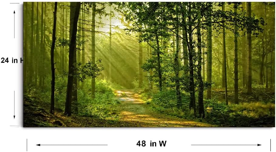 Green Morning Sunlight Forest Scenery Canvas Wall Art for Bedroom Home,Beautiful Silent Summer