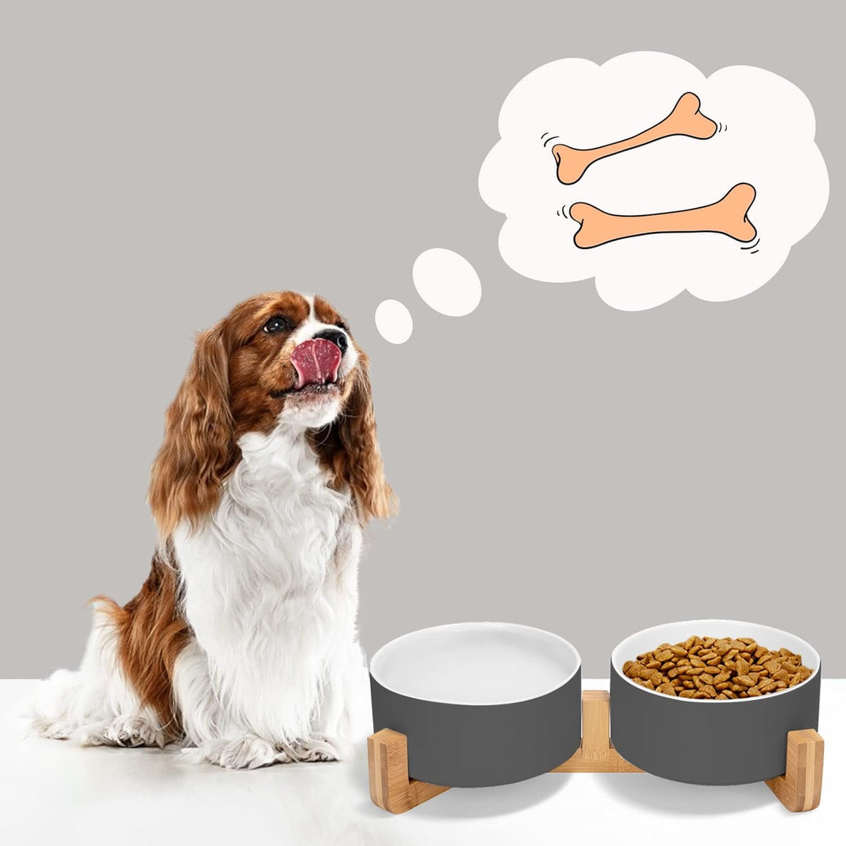 SPUNKYJUNKY Ceramic Dog and Cat Bowl Set with Wooden Stand, Modern Cute Weighted Food Water Set for