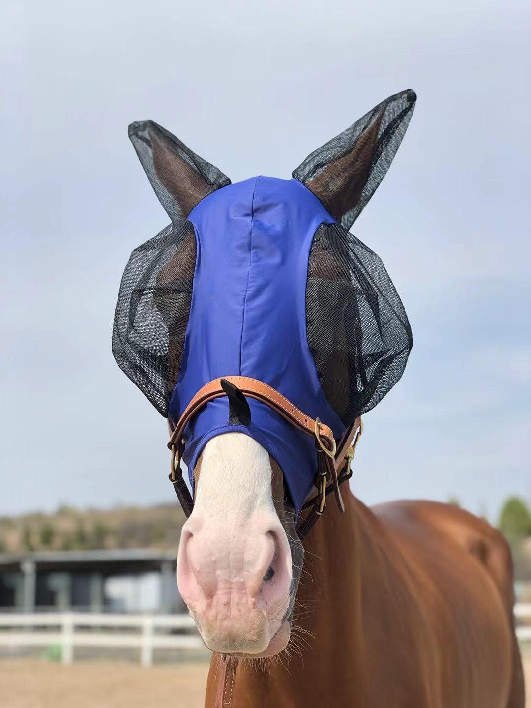 Horse Fly Mask Super Comfort Horse Fly Mask Elasticity Fly Mask with Ears We Only Make Products