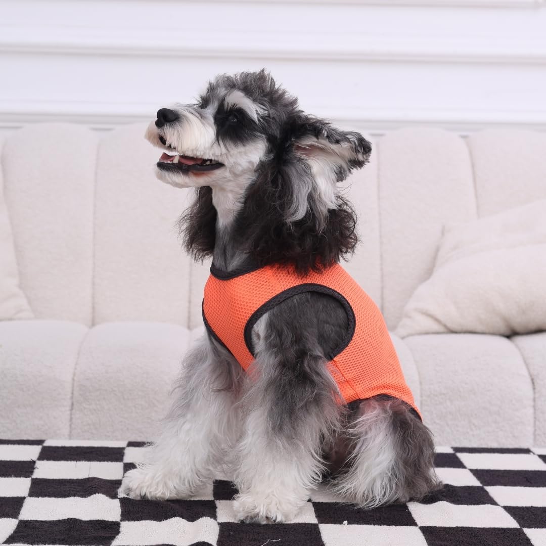 2 Pack Cooling Shirts for Dogs, Lightweight Mesh Breathable Dog Clothes for Large Breed Dogs Boy