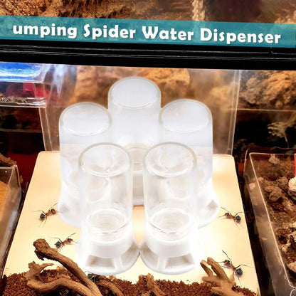 5 Pcs Jumping Spider Ant Water Feeder Bee Plastic Water Feeding Tarantula Water Bowl Spider Feeder