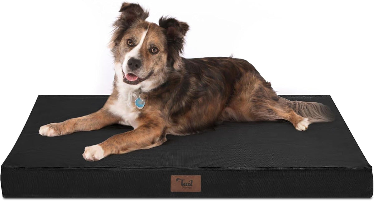 Orthopedic Dog Bed for Large Dogs, Big Waterproof Washable Dog Bed for Large Sized Dogs with Egg