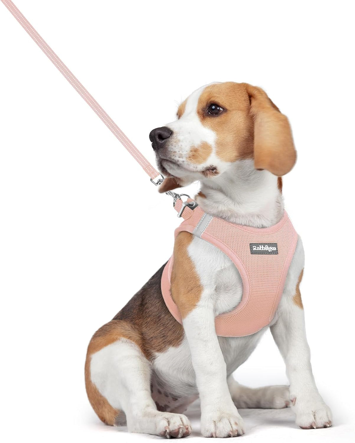 rabbitgoo Dog Harness Small Medium Sized and Leash Set, Step in Soft Light Puppy Vest, Breathable