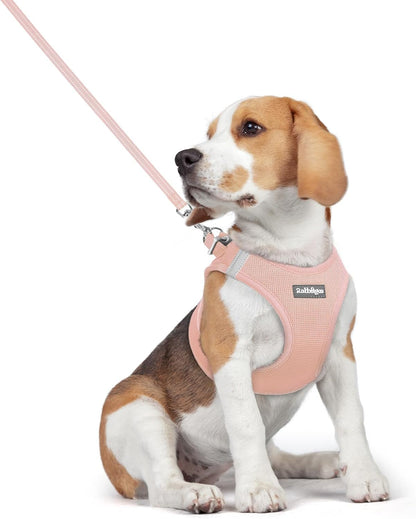 rabbitgoo Dog Harness Small Medium Sized and Leash Set, Step in Soft Light Puppy Vest, Breathable
