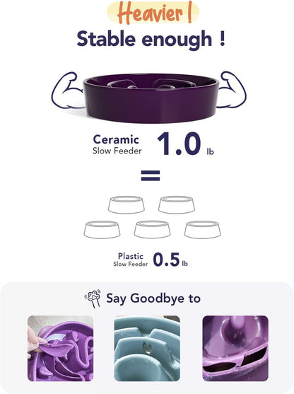 LE TAUCI Ceramic Slow Feeder Dog Bowls Small Breed, 0.6 Cups Dog Food Dish for Fast Eaters, Puzzle