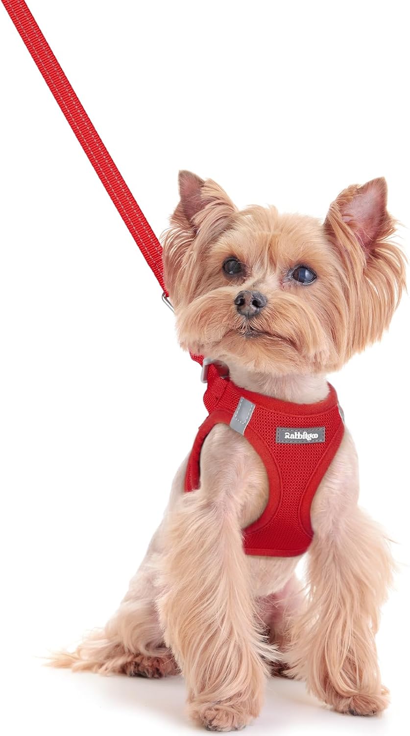 rabbitgoo Dog Harness Small Sized and Leash Set, Step in Soft Light Puppy Vest, Breathable Mesh Pet