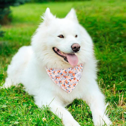 E-Clover Dog Bandanas & Matching Scrunchie Set Cute Flower Dog Scarf Bibs Girl Pet Bandana with Bow
