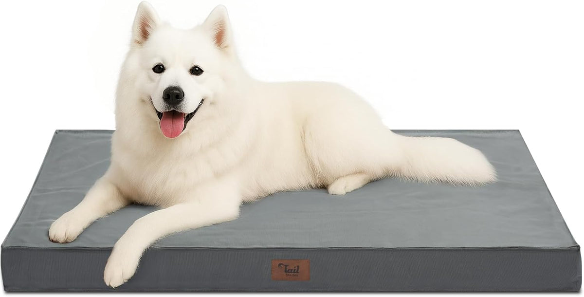 Outdoor Large Dog Bed, Waterproof Dog Bed for Large Dogs, Egg Crate Foam Pet Bed with Removable