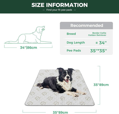 FXW Washable Pee Pads for Dogs, Puppy Pads with Super Absorbent, Specifically Designed for Potty