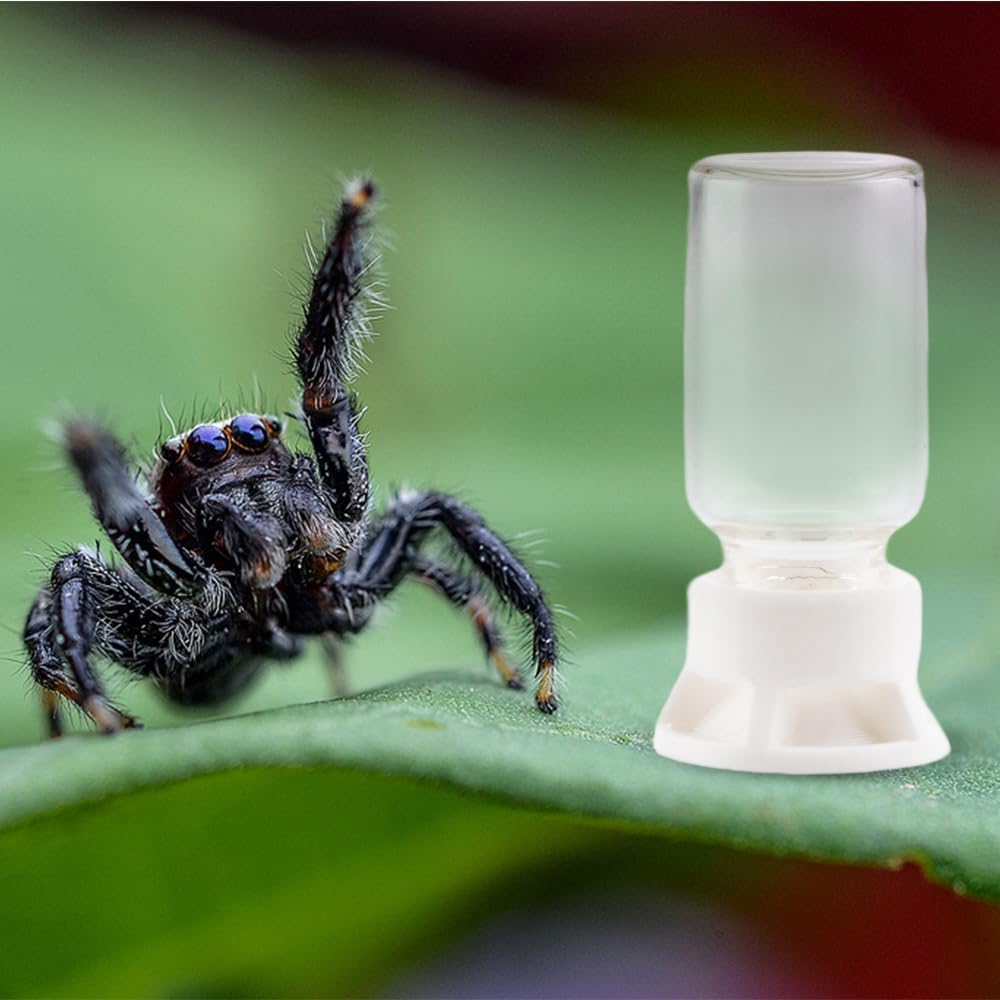 5 Pcs Jumping Spider Ant Water Feeder Bee Plastic Water Feeding Tarantula Water Bowl Spider Feeder