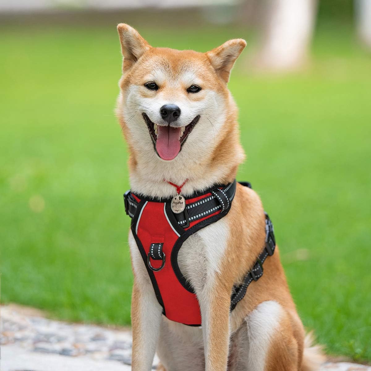PoyPet No Pull Dog Harness, Reflective Comfortable Vest Harness with Front & Back 2 Leash